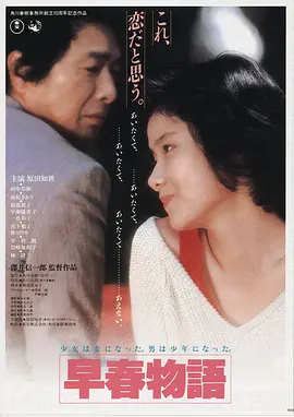 策驰影院《雾港谜案》高清在线观看海报